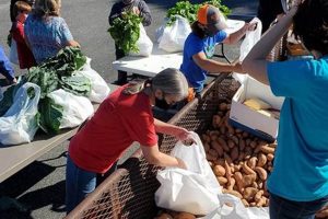 Your Farm Bureau Crestview, FL: Guide & Support The Conscious Farmer | Sustainable Agriculture for a Healthier Planet Your Farm Bureau Crestview, FL: Guide & Support | The Conscious Farmer | Sustainable Agriculture for a Healthier Planet