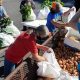 Your Farm Bureau Crestview, FL: Guide &amp; Support | The Conscious Farmer | Sustainable Agriculture for a Healthier Planet