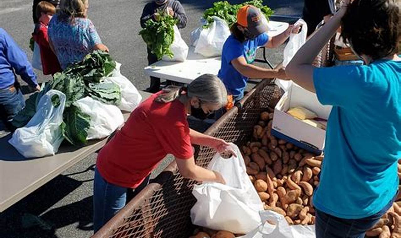 Your Farm Bureau Crestview, FL: Guide & Support The Conscious Farmer | Sustainable Agriculture for a Healthier Planet Your Farm Bureau Crestview, FL: Guide & Support | The Conscious Farmer | Sustainable Agriculture for a Healthier Planet