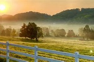 Sevierville TN Farm Bureau: Insurance & Local Ag Support | The Conscious Farmer | Sustainable Agriculture for a Healthier Planet