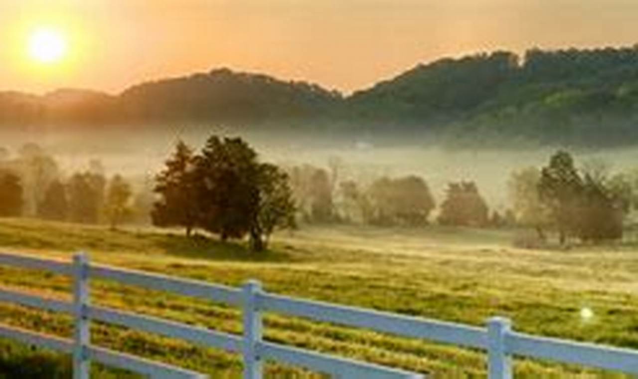 Sevierville TN Farm Bureau: Insurance & Local Ag Support The Conscious Farmer | Sustainable Agriculture for a Healthier Planet Sevierville TN Farm Bureau: Insurance & Local Ag Support | The Conscious Farmer | Sustainable Agriculture for a Healthier Planet