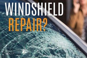 Farm Bureau Windshield Replacement: Coverage & Costs The Conscious Farmer | Sustainable Agriculture for a Healthier Planet Farm Bureau Windshield Replacement: Coverage & Costs | The Conscious Farmer | Sustainable Agriculture for a Healthier Planet