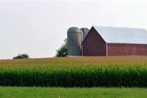 Your Farm: Farm Bureau Batesville Arkansas Info & More The Conscious Farmer | Sustainable Agriculture for a Healthier Planet Your Farm: Farm Bureau Batesville Arkansas Info & More | The Conscious Farmer | Sustainable Agriculture for a Healthier Planet