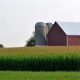 Your Farm: Farm Bureau Batesville Arkansas Info & More | The Conscious Farmer | Sustainable Agriculture for a Healthier Planet