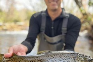 Noontootla Creek Farms: Your Eco-Friendly Creek Farm | The Conscious Farmer | Sustainable Agriculture for a Healthier Planet