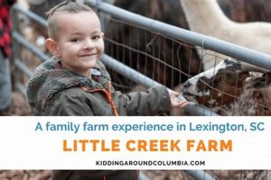 Discover Little Creek Farm: Your Sustainable Source | The Conscious Farmer | Sustainable Agriculture for a Healthier Planet