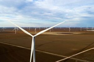 Plum Creek Wind Farm: Nebraska's Clean Energy Powerhouse | The Conscious Farmer | Sustainable Agriculture for a Healthier Planet