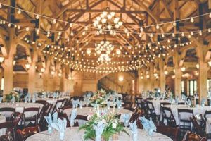 Your Guide to Canopy Creek Farms: A Sustainable Future | The Conscious Farmer | Sustainable Agriculture for a Healthier Planet
