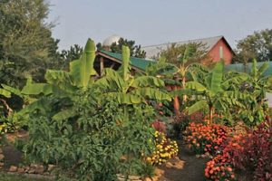 Visit Mulberry Creek Farm: Fresh & Local! | The Conscious Farmer | Sustainable Agriculture for a Healthier Planet