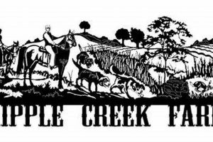 Discover Cripple Creek Farms: Your Premier Local Farm | The Conscious Farmer | Sustainable Agriculture for a Healthier Planet