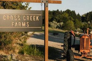 Discover Cross Creek Farms: Your Local Farm Fresh! | The Conscious Farmer | Sustainable Agriculture for a Healthier Planet
