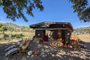 Explore SLO Creek Farms in San Luis Obispo: A Local Gem | The Conscious Farmer | Sustainable Agriculture for a Healthier Planet