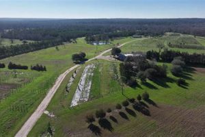 The Ultimate Sandy Creek Farm Guide | The Conscious Farmer | Sustainable Agriculture for a Healthier Planet