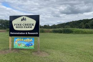 Buy Pine Creek Seed Farm Seeds | Best Yields | The Conscious Farmer | Sustainable Agriculture for a Healthier Planet