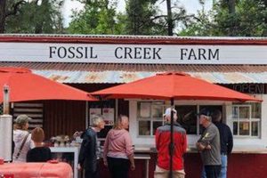 Your Fossil Creek Farm: Fresh & Local | The Conscious Farmer | Sustainable Agriculture for a Healthier Planet