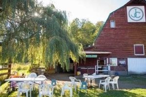 Your Local Jones Creek Farms: Produce & More! | The Conscious Farmer | Sustainable Agriculture for a Healthier Planet