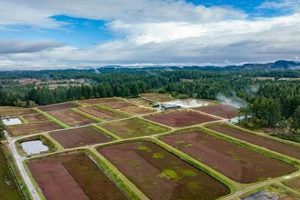 Your Guide to Cranberry Creek Farm Secrets + More! | The Conscious Farmer | Sustainable Agriculture for a Healthier Planet