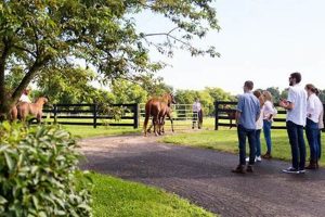 Lexington's Creek Farm: McClain Horse Legacy & More | The Conscious Farmer | Sustainable Agriculture for a Healthier Planet