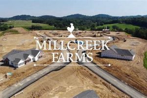 Discover Local: Millie Creek Farms' Fresh Harvest | The Conscious Farmer | Sustainable Agriculture for a Healthier Planet