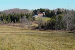 Your Guide to Crooked Creek Farm: Produce & More! | The Conscious Farmer | Sustainable Agriculture for a Healthier Planet