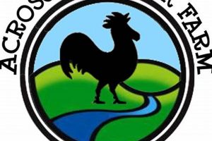 Your Guide to Across the Creek Farm: Tips &amp; Sustainability | The Conscious Farmer | Sustainable Agriculture for a Healthier Planet