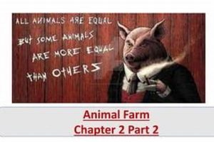Animal Farm Ch 2: Revolution's Turning Point? | The Conscious Farmer | Sustainable Agriculture for a Healthier Planet