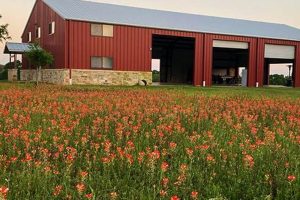 Discover Rocky Creek Farm: Local & Sustainable! | The Conscious Farmer | Sustainable Agriculture for a Healthier Planet