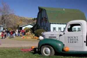 Visit Rocky Creek Farm Bozeman, MT: Your Local Source! | The Conscious Farmer | Sustainable Agriculture for a Healthier Planet