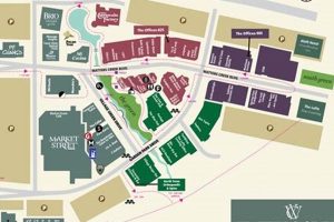Explore Watters Creek at Montgomery Farm: Shopping & More | The Conscious Farmer | Sustainable Agriculture for a Healthier Planet