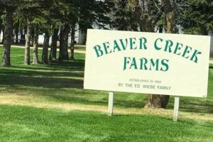 Visit Beaver Creek Farm: Fresh & Fun! | The Conscious Farmer | Sustainable Agriculture for a Healthier Planet