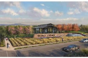 Your Guide: Barney Farms Queen Creek & Local Produce | The Conscious Farmer | Sustainable Agriculture for a Healthier Planet