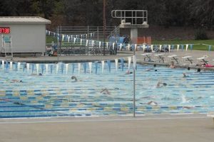 Dive into Fun: Walnut Creek Heather Farms Pool Guide | The Conscious Farmer | Sustainable Agriculture for a Healthier Planet