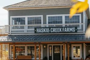 Explore Haskill Creek Farms: A Sustainable Paradise | The Conscious Farmer | Sustainable Agriculture for a Healthier Planet