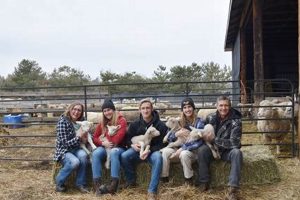 Discover Alder Creek Farm: Fresh &amp; Local Goodness | The Conscious Farmer | Sustainable Agriculture for a Healthier Planet