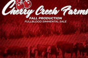 Explore Cherry Creek Farm: Fresh &amp; Local Cherries | The Conscious Farmer | Sustainable Agriculture for a Healthier Planet