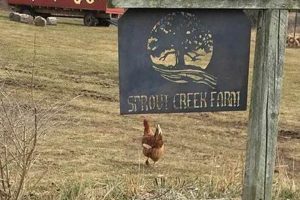 Visit Sprout Creek Farm: Cheese, Education & More! | The Conscious Farmer | Sustainable Agriculture for a Healthier Planet