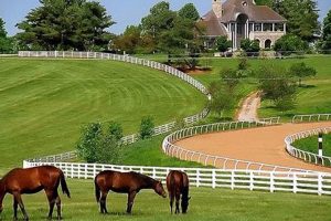 Discover Your Lexington Creek Farm: Horses & More! | The Conscious Farmer | Sustainable Agriculture for a Healthier Planet