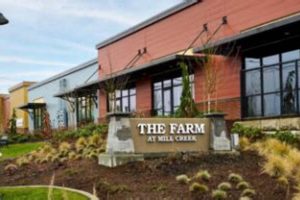 Visit The Farm at Mill Creek: Fresh & Local | The Conscious Farmer | Sustainable Agriculture for a Healthier Planet