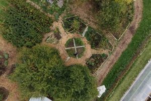 Discover Black Creek Farms: Your Local Farm Fresh Source | The Conscious Farmer | Sustainable Agriculture for a Healthier Planet