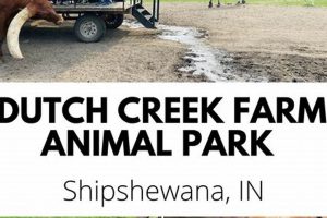 Visit Dutch Creek Animal Farm: [State] Local Gem! | The Conscious Farmer | Sustainable Agriculture for a Healthier Planet