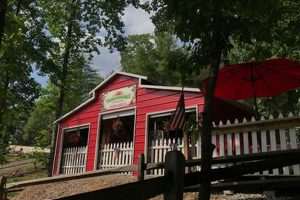 Discover Nature's Creek Farm: Sustainable Living | The Conscious Farmer | Sustainable Agriculture for a Healthier Planet