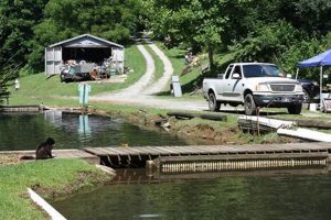Otter Creek Trout Farm: Fresh Catch, Local Farms | The Conscious Farmer | Sustainable Agriculture for a Healthier Planet