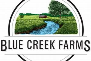 Discover Blue Creek Farms: Fresh, Local & Sustainable! | The Conscious Farmer | Sustainable Agriculture for a Healthier Planet