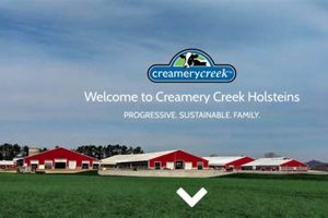 Discover Creamery Creek Farm: A Sustainable Dairy Paradise | The Conscious Farmer | Sustainable Agriculture for a Healthier Planet