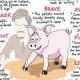 Best Animal Farm: Snowball Quotes &amp; Meaning | The Conscious Farmer | Sustainable Agriculture for a Healthier Planet
