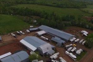 Discover Creek View Farm: Your Idyllic Farm Escape | The Conscious Farmer | Sustainable Agriculture for a Healthier Planet