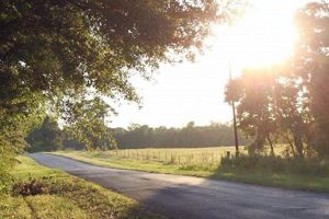 Guide to CM Farms Dry Creek: Farming Dry Creeks | The Conscious Farmer | Sustainable Agriculture for a Healthier Planet