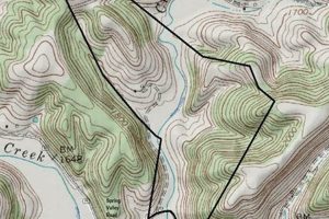Your Guide to Muddy Creek Farm: Tips &amp; Success | The Conscious Farmer | Sustainable Agriculture for a Healthier Planet