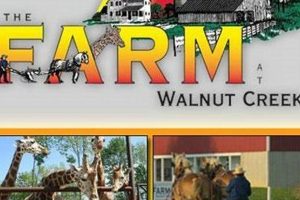 Discover: Walnut Creek Farm Ohio - Amish Country Charm | The Conscious Farmer | Sustainable Agriculture for a Healthier Planet