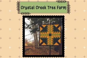 Find Your Perfect Tree at Crystal Creek Tree Farm! | The Conscious Farmer | Sustainable Agriculture for a Healthier Planet